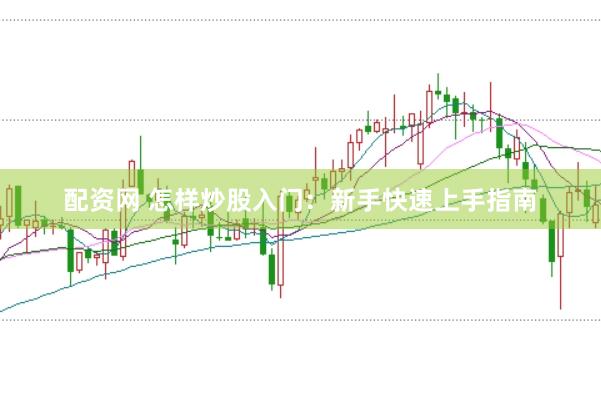 配资网 怎样炒股入门：新手快速上手指南