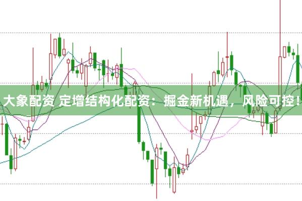 大象配资 定增结构化配资：掘金新机遇，风险可控！