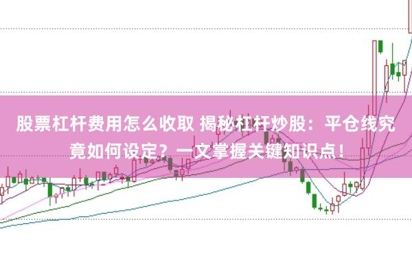股票杠杆费用怎么收取 揭秘杠杆炒股：平仓线究竟如何设定？一文掌握关键知识点！