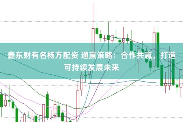 鑫东财有名杨方配资 通赢策略：合作共赢，打造可持续发展未来