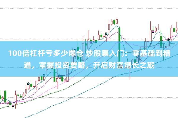 100倍杠杆亏多少爆仓 炒股票入门：零基础到精通，掌握投资要略，开启财富增长之旅