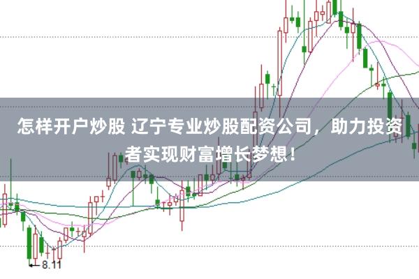 怎样开户炒股 辽宁专业炒股配资公司，助力投资者实现财富增长梦想！