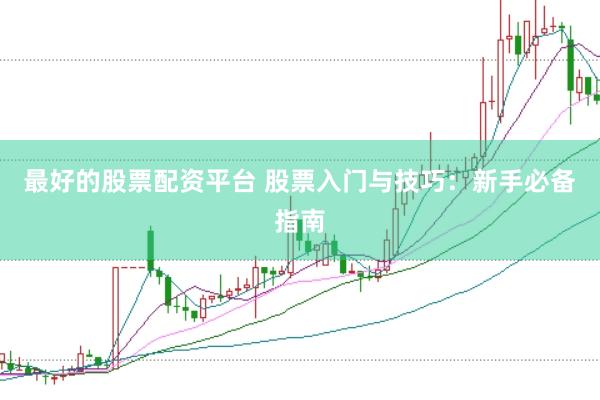 最好的股票配资平台 股票入门与技巧：新手必备指南