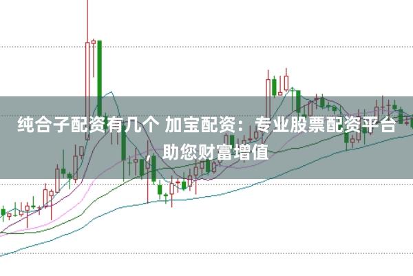 纯合子配资有几个 加宝配资：专业股票配资平台，助您财富增值