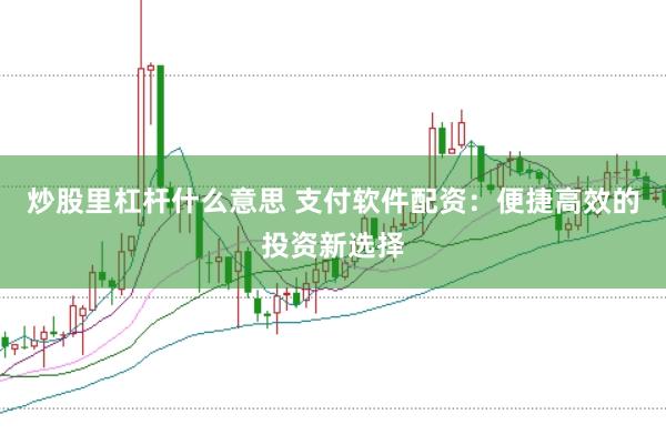 炒股里杠杆什么意思 支付软件配资：便捷高效的投资新选择