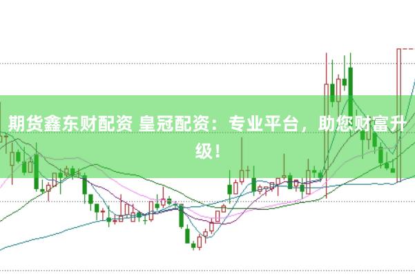 期货鑫东财配资 皇冠配资：专业平台，助您财富升级！