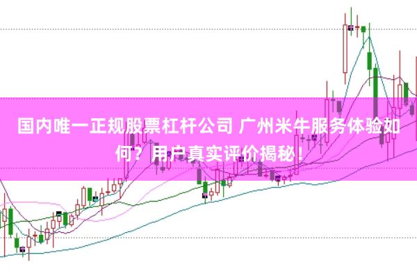 国内唯一正规股票杠杆公司 广州米牛服务体验如何？用户真实评价揭秘！