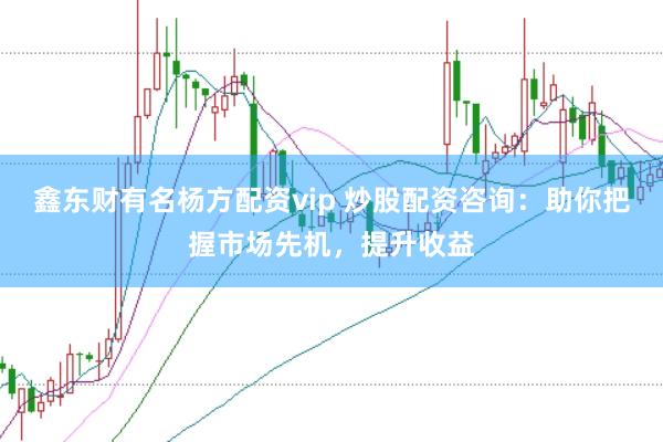 鑫东财有名杨方配资vip 炒股配资咨询：助你把握市场先机，提升收益