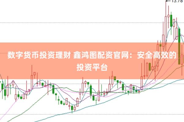 数字货币投资理财 鑫鸿图配资官网：安全高效的投资平台