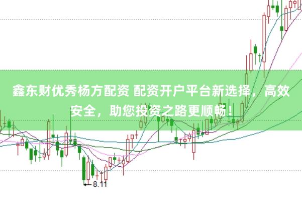 鑫东财优秀杨方配资 配资开户平台新选择，高效安全，助您投资之路更顺畅！