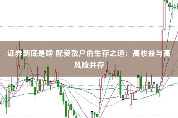 证券到底是啥 配资散户的生存之道：高收益与高风险并存