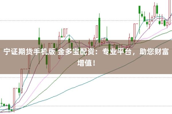 宁证期货手机版 金多宝配资：专业平台，助您财富增值！
