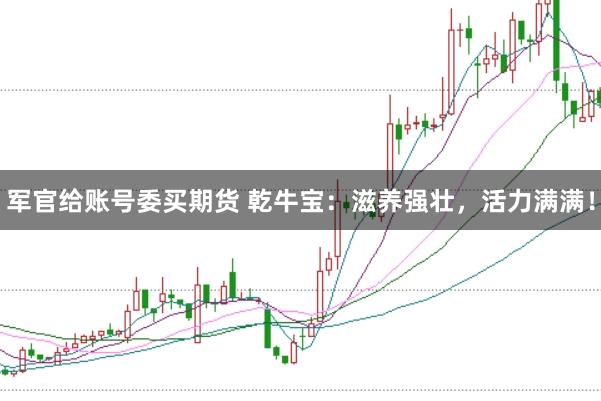 军官给账号委买期货 乾牛宝:滋养强壮,活力满满!