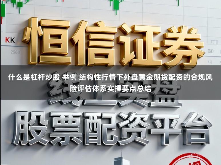什么是杠杆炒股 举例 结构性行情下外盘黄金期货配资的合规风险评估体系实操要点总结