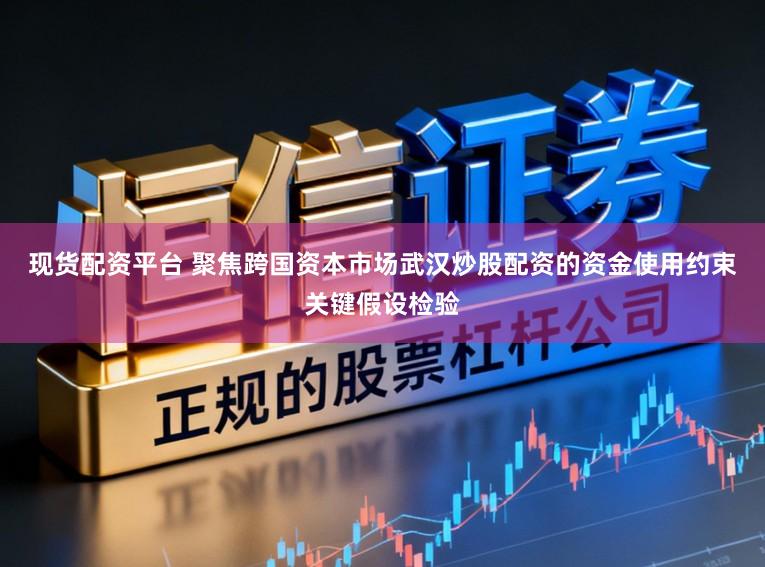 现货配资平台 聚焦跨国资本市场武汉炒股配资的资金使用约束关键假设检验