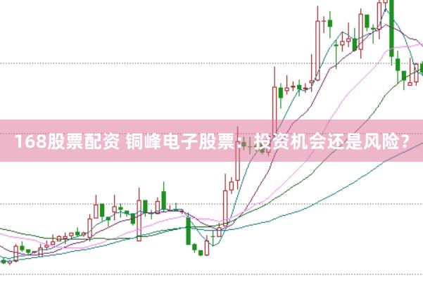 168股票配资 铜峰电子股票:投资机会还是风险?