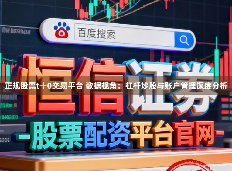 正规股票t十0交易平台 数据视角：杠杆炒股与账户管理深度分析